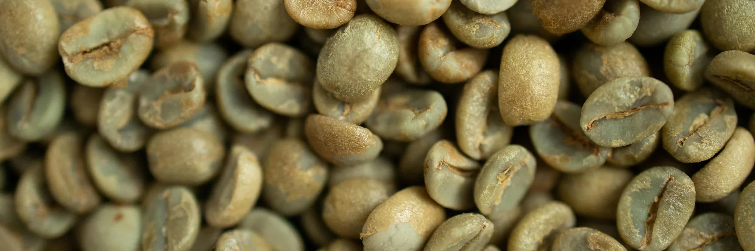Locking in Freshness at Origin: Why Vacuum Packing Matters for Specialty Coffee