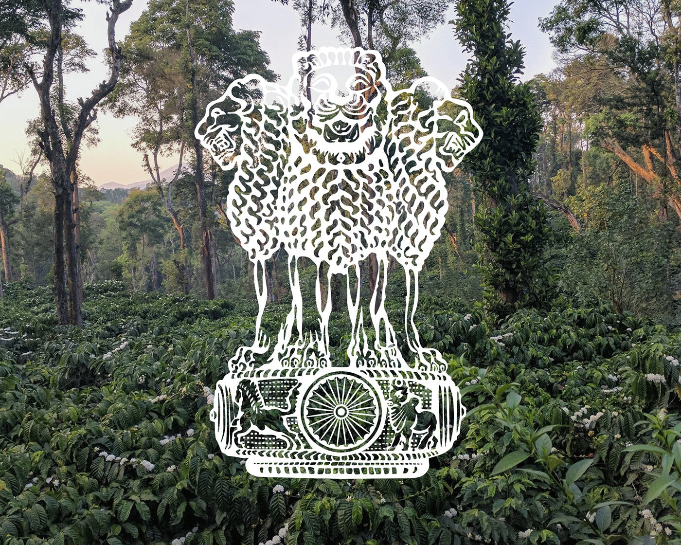 A Tale of Two Indias: Spices, Berries, and Heritage